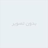 100 فالب و الگوی آماده برای تولید محتوا و تبلیغ نویسس